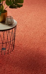 LANO_Polyester_Group